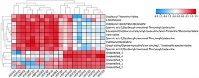 Differences in Metabolic Profiles of Healthy Dogs Fed a High-Fat vs. a High-Starch Diet